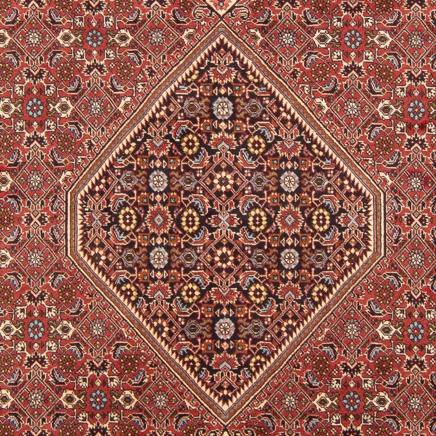 Tapis persan - Bidjar - 307 x 203 cm - rouge
