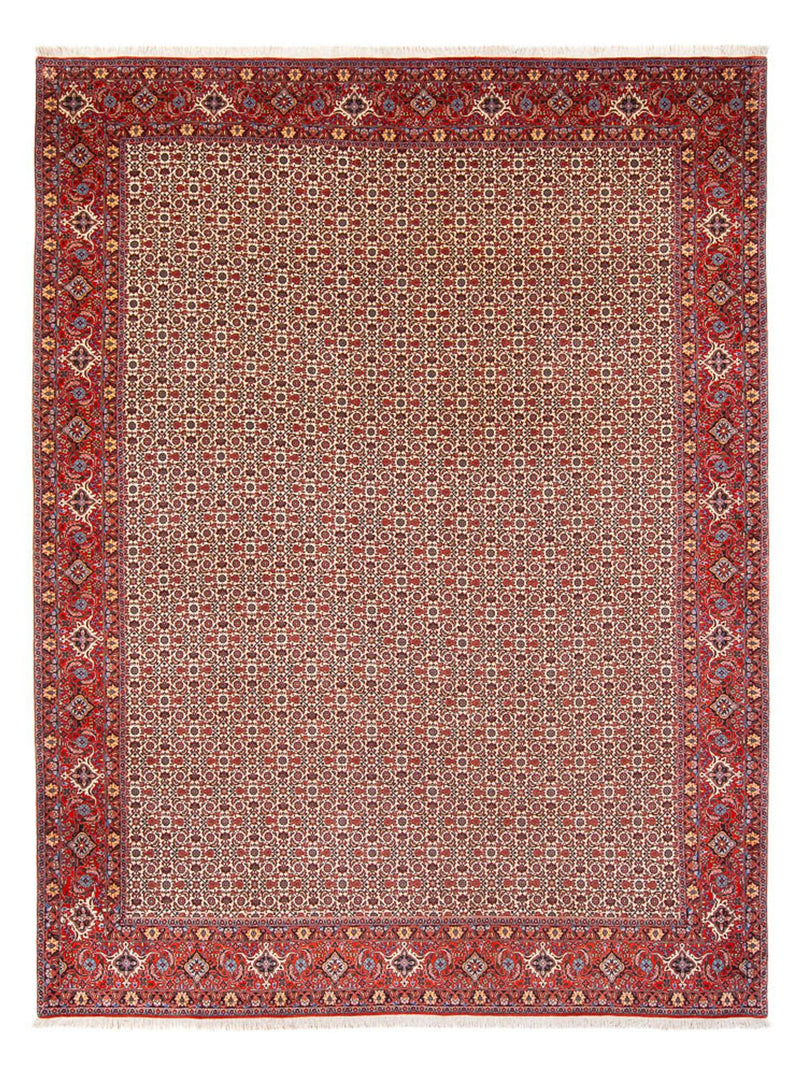 Tapis persan - Bidjar - 343 x 260 cm - crème