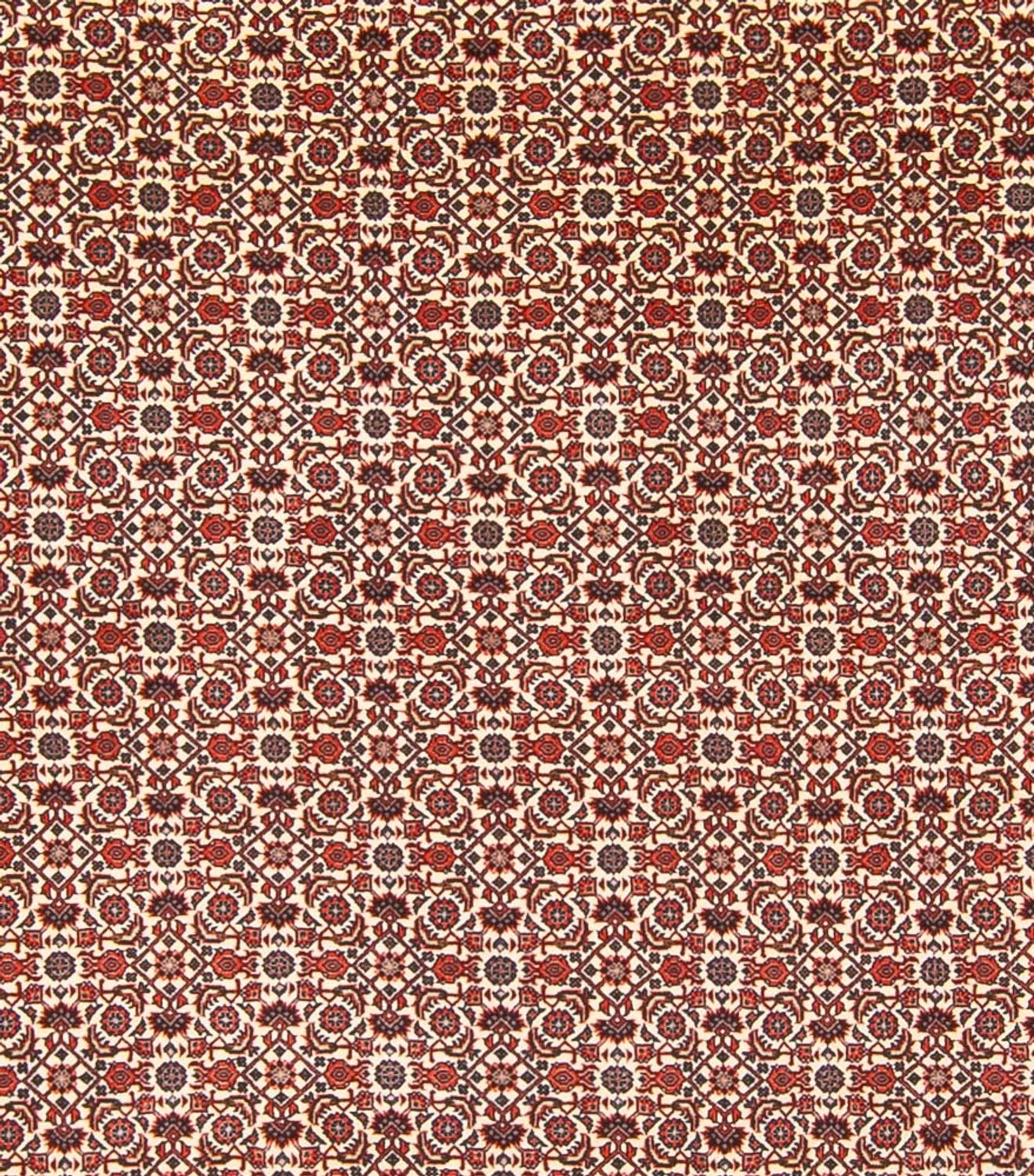 Tapis persan - Bidjar - 343 x 260 cm - crème