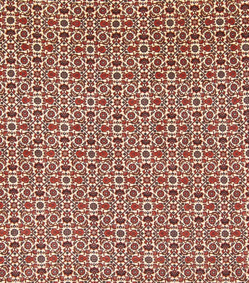 Tapis persan - Bidjar - 343 x 260 cm - crème