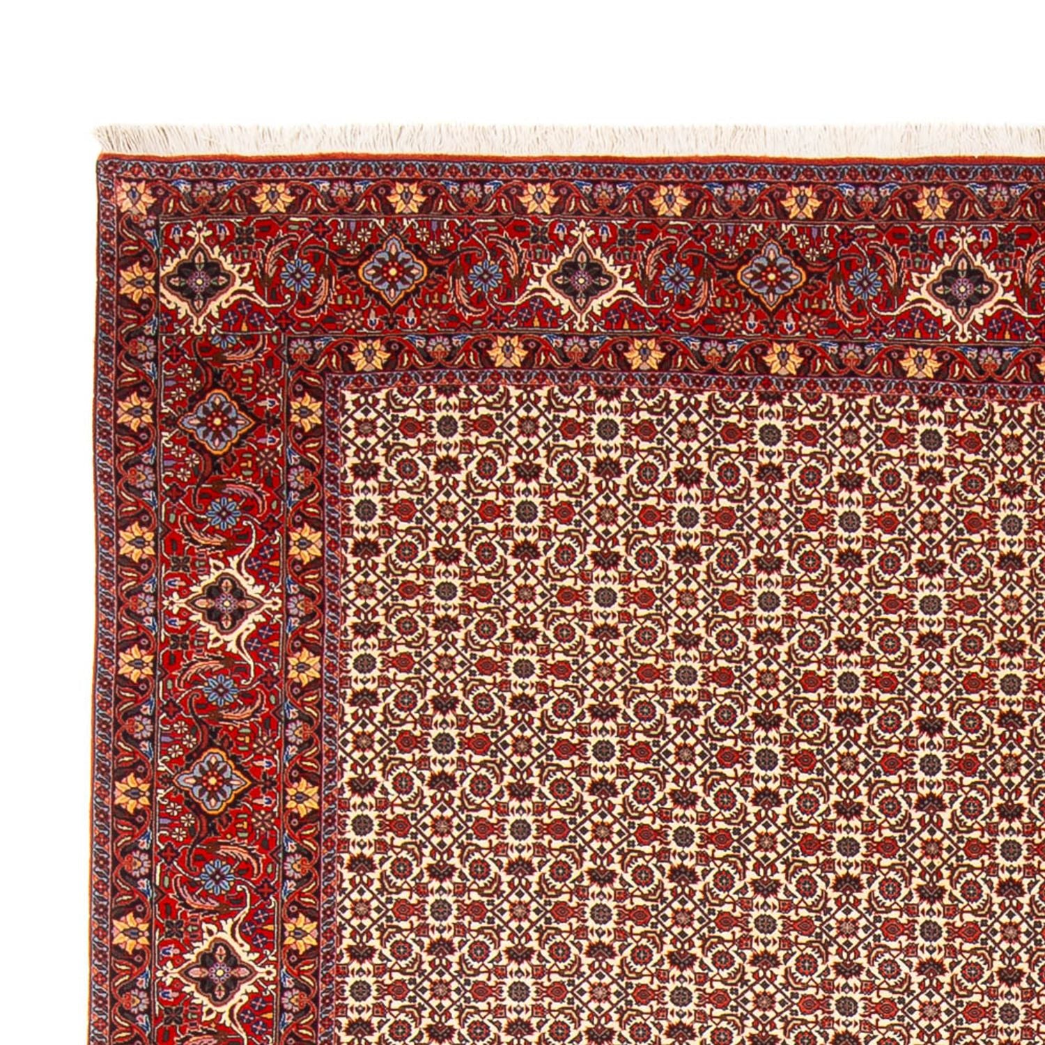 Tapis persan - Bidjar - 343 x 260 cm - crème