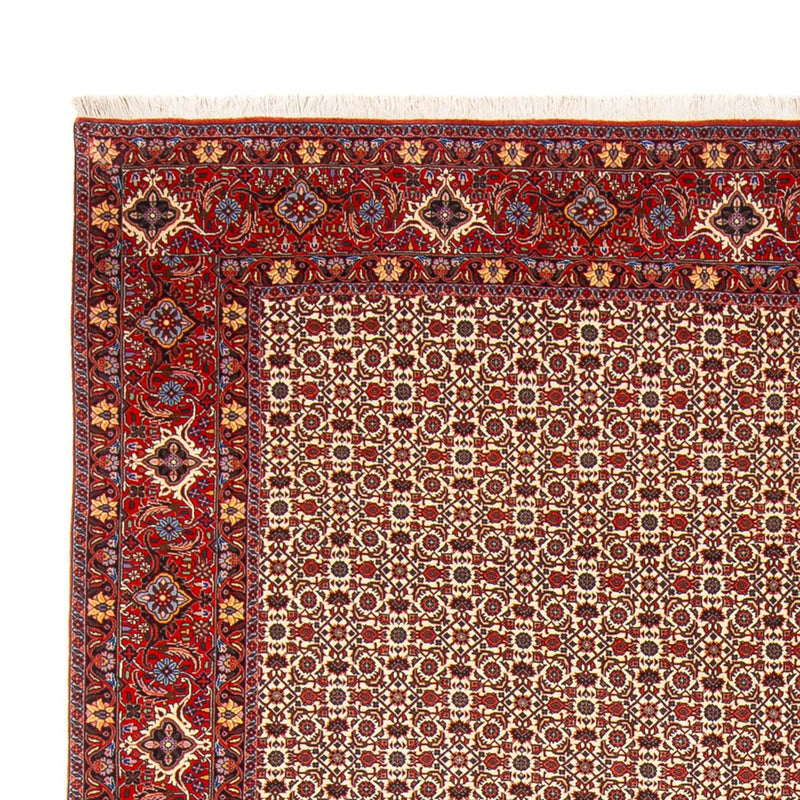 Tapis persan - Bidjar - 343 x 260 cm - crème