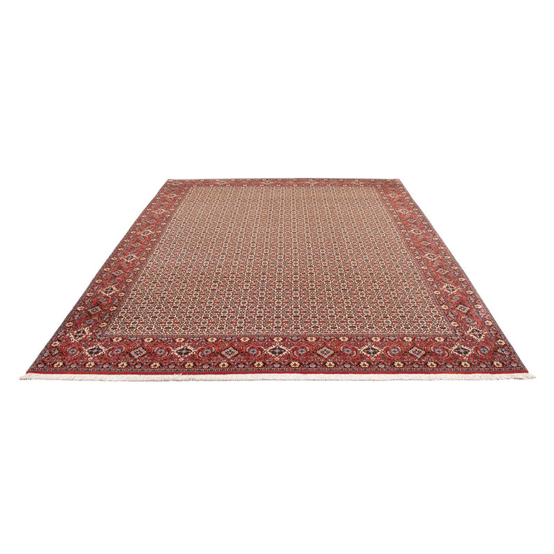 Tapis persan - Bidjar - 343 x 260 cm - crème
