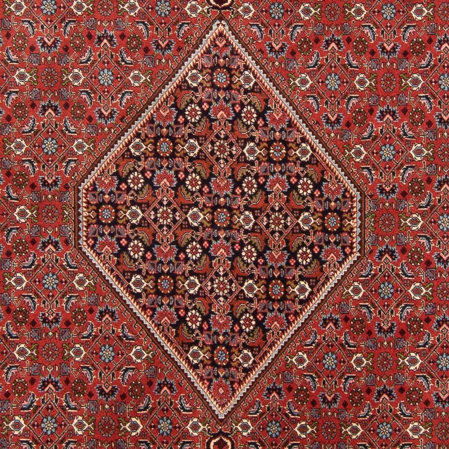 Tapis persan - Bidjar - 310 x 200 cm - rouge