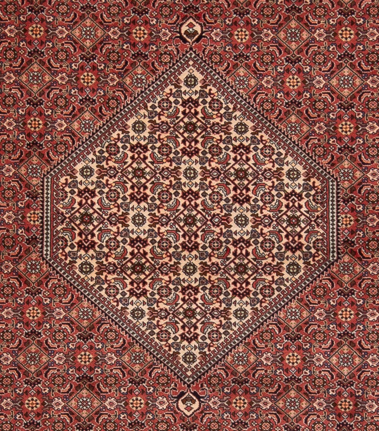 Tapis persan - Bidjar - 340 x 250 cm - rouge foncé