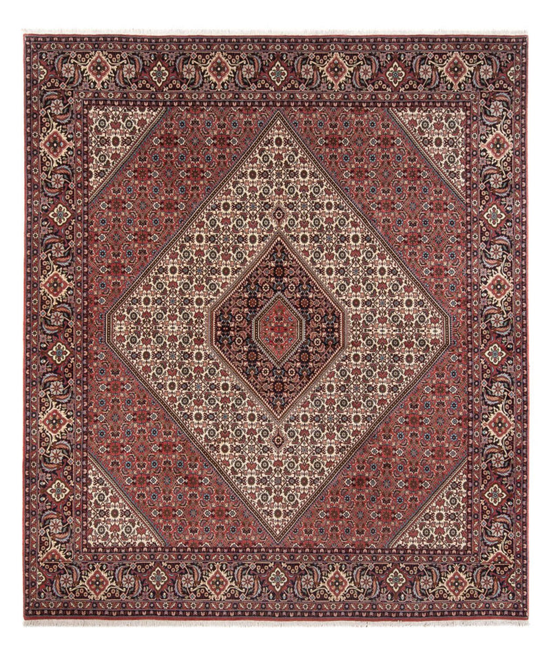Tapis persan - Bidjar - 296 x 252 cm - crème