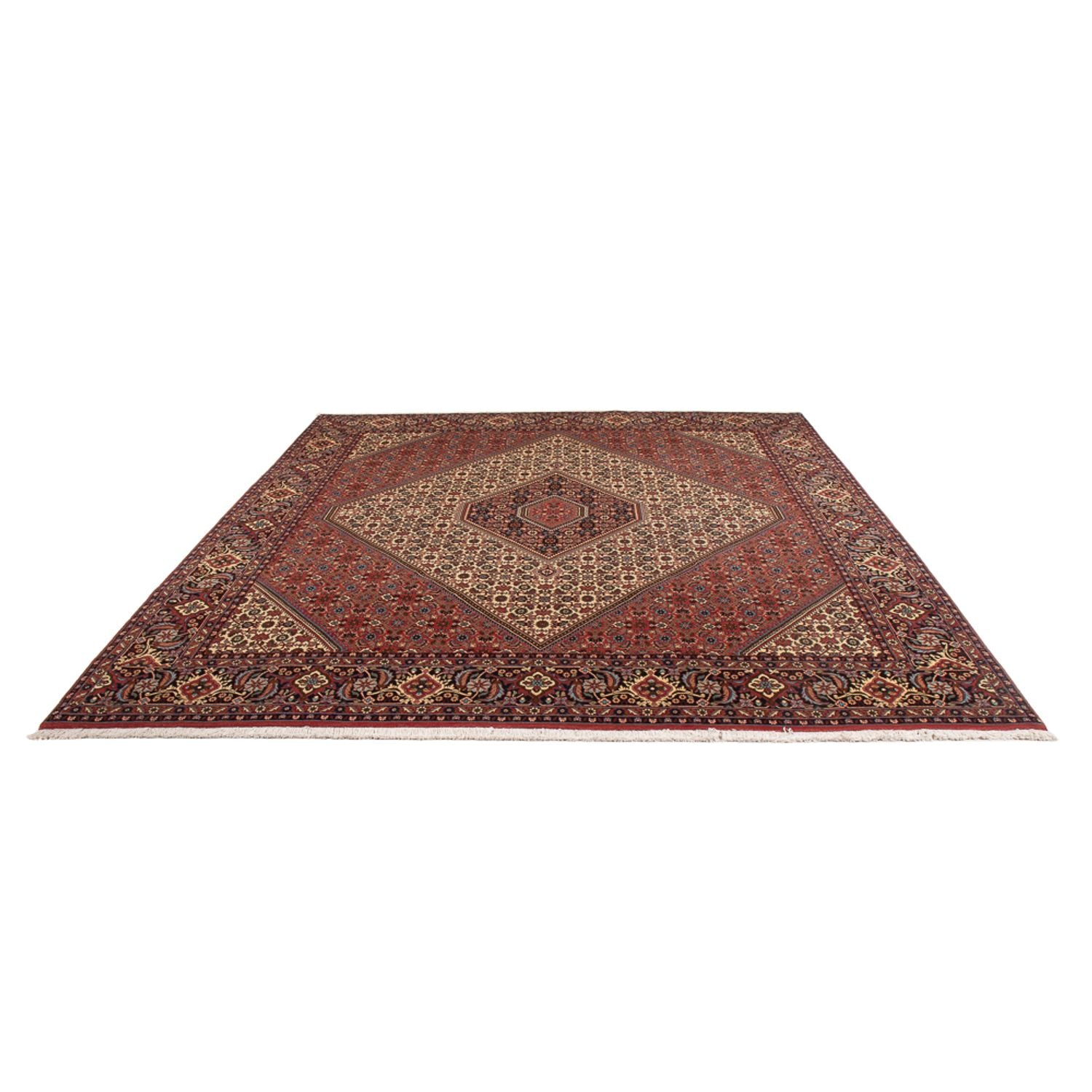Tapis persan - Bidjar - 296 x 252 cm - crème