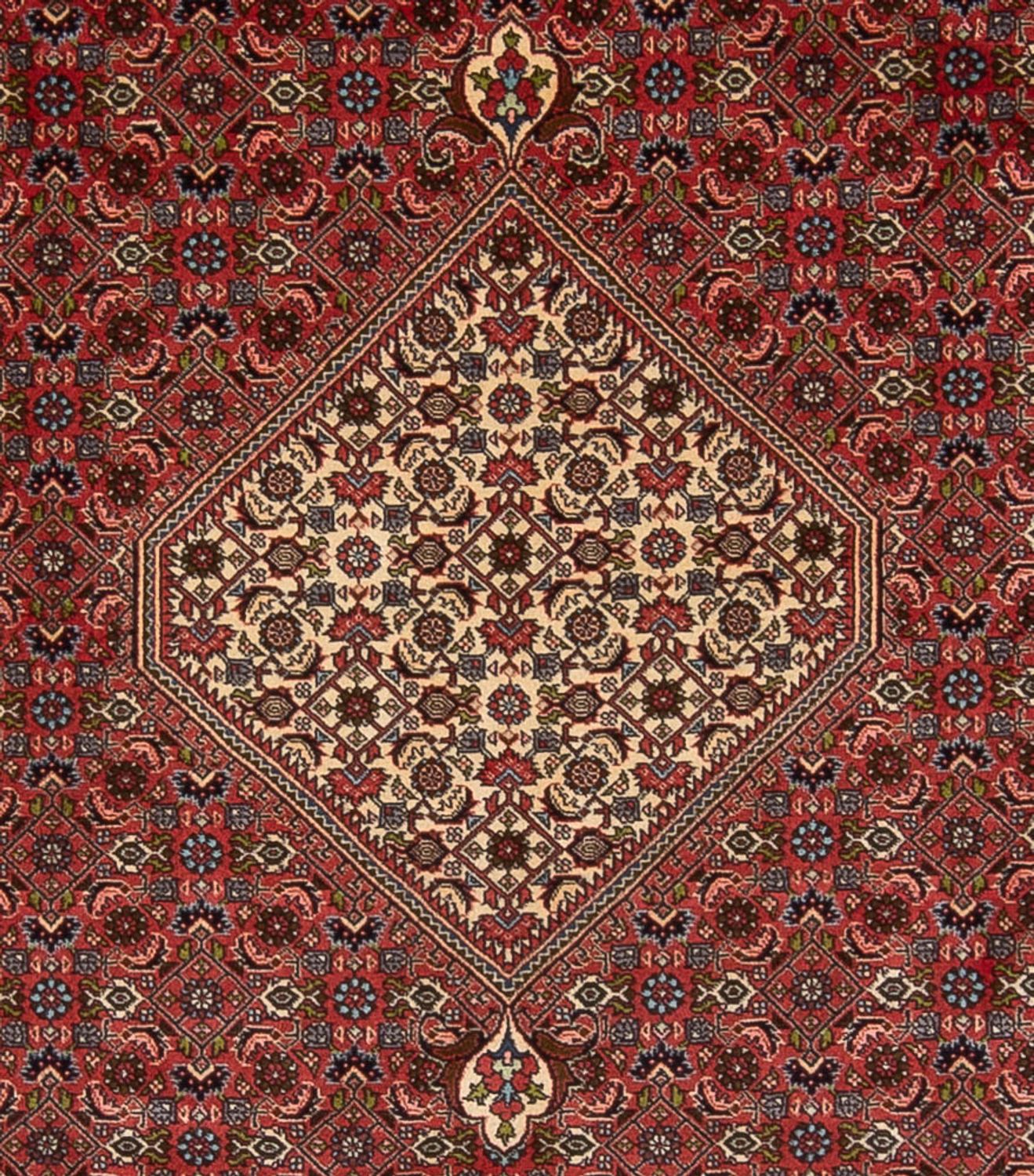Tapis persan - Bidjar - 314 x 255 cm - rouge foncé