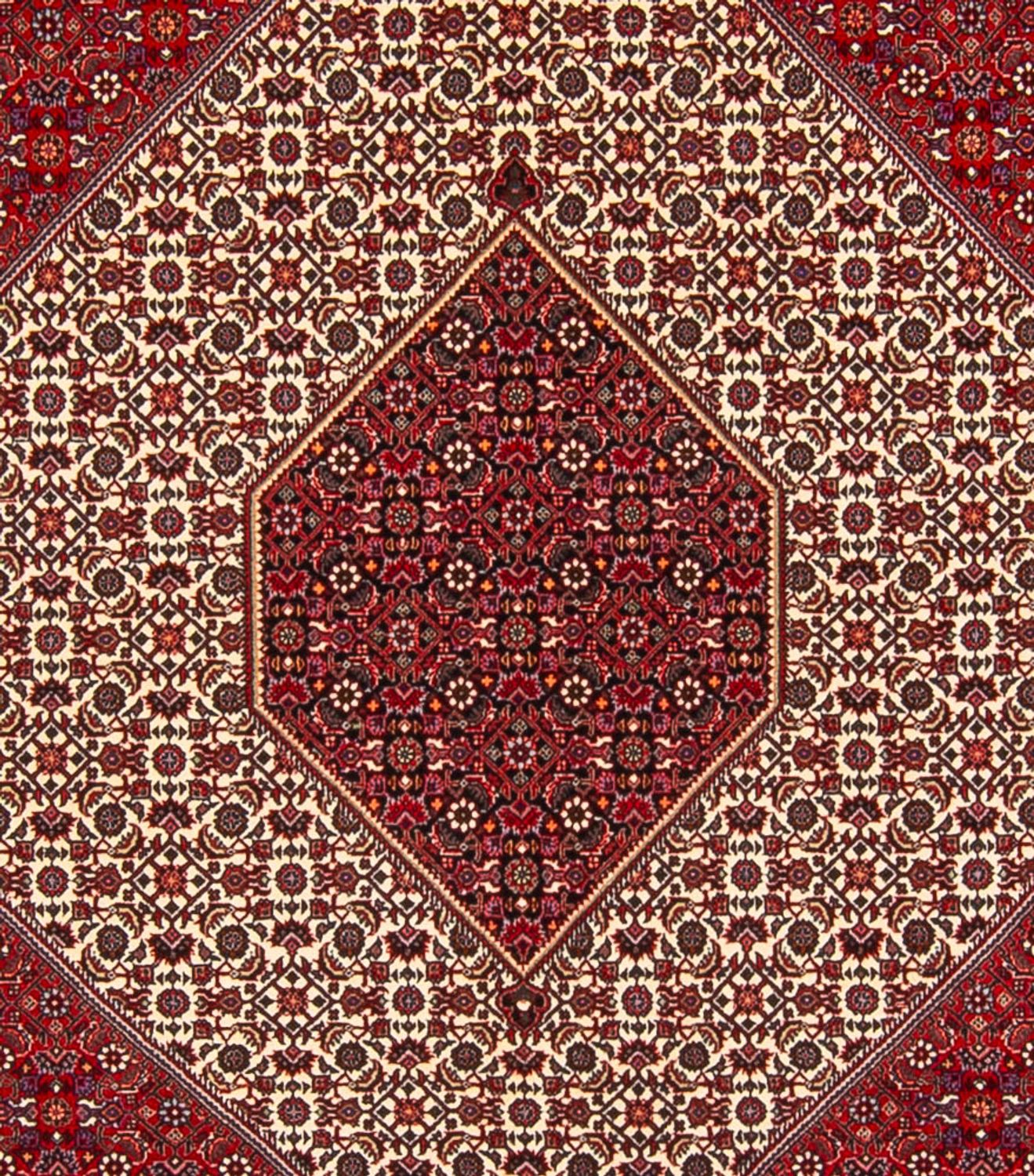 Tapis persan - Bidjar - 301 x 253 cm - crème