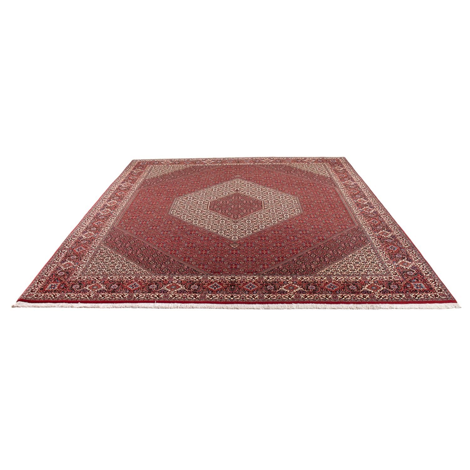 Tapis persan - Bidjar - 301 x 253 cm - crème