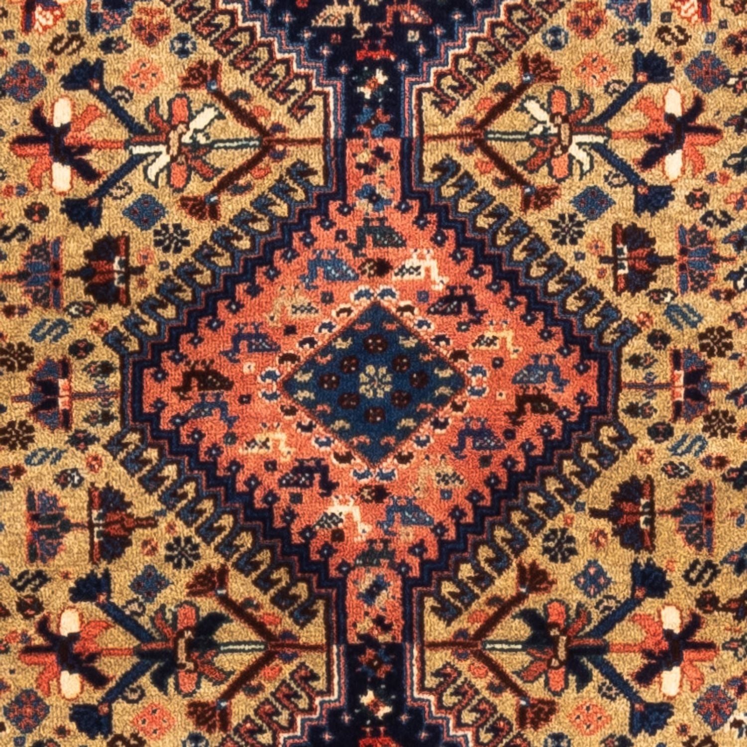 Tapis de couloir Tapis Gabbeh - Persan - 220 x 76 cm - sable