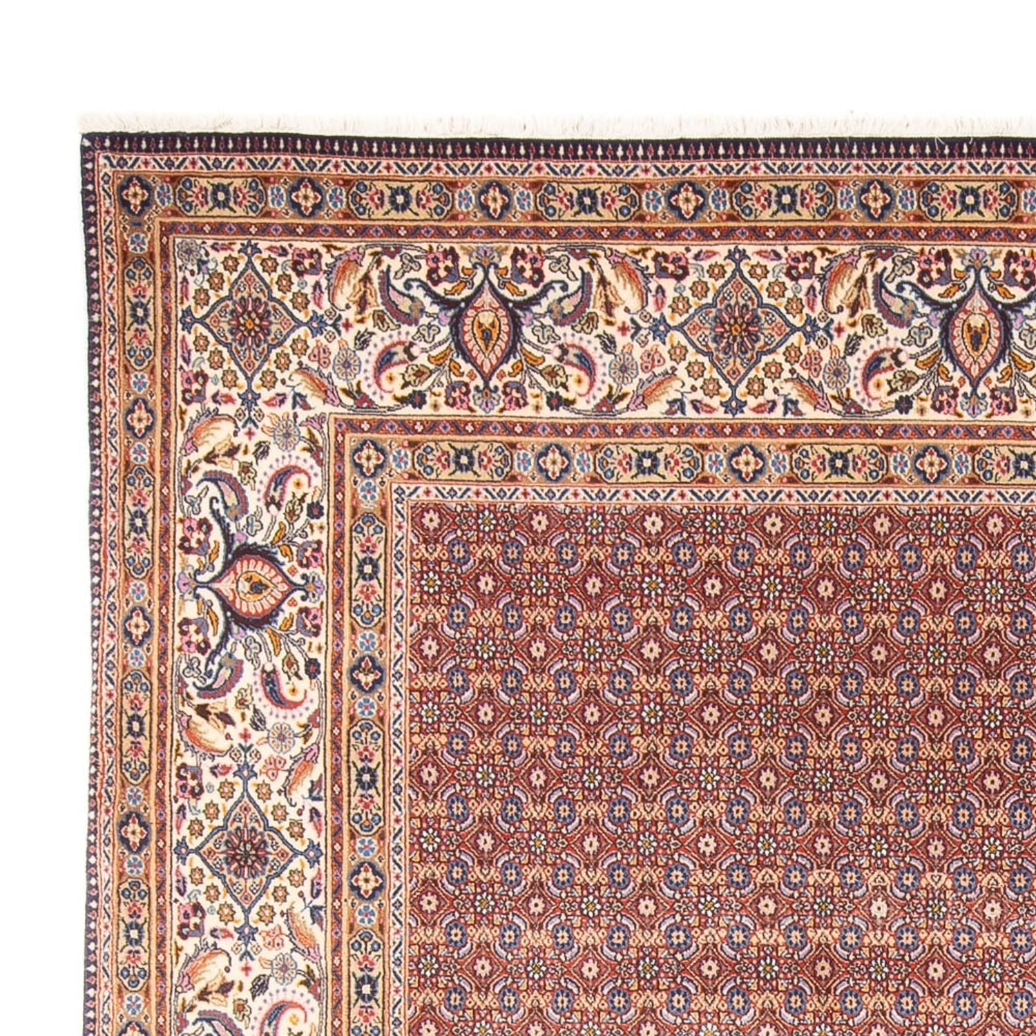 Tapis persan - Classique - 294 x 243 cm - bleu foncé