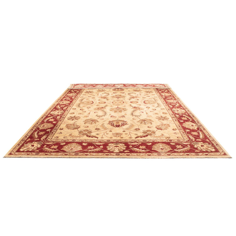 Ziegler Teppich - 455 x 308 cm - creme