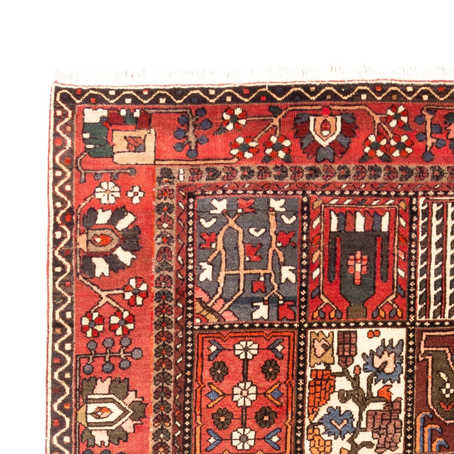 Tapis persan - Nomadic - 314 x 207 cm - multicolore