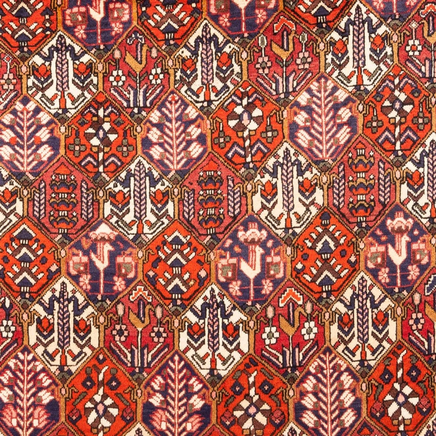 Tapis persan - Nomadic - 310 x 210 cm - rouge