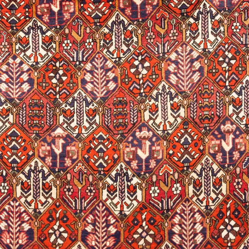 Tapis persan - Nomadic - 310 x 210 cm - rouge