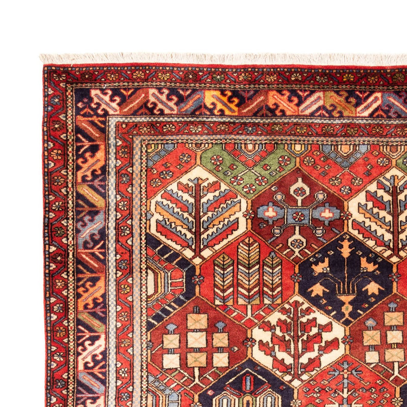 Tapis Gabbeh - Persan - 325 x 218 cm - multicolore
