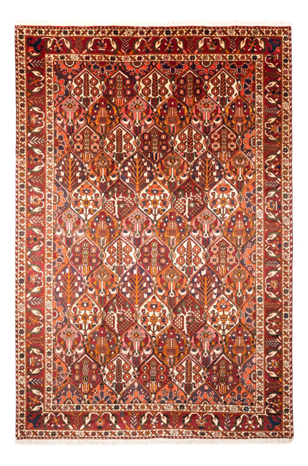 Perserteppich - Nomadic - 308 x 210 cm - mehrfarbig