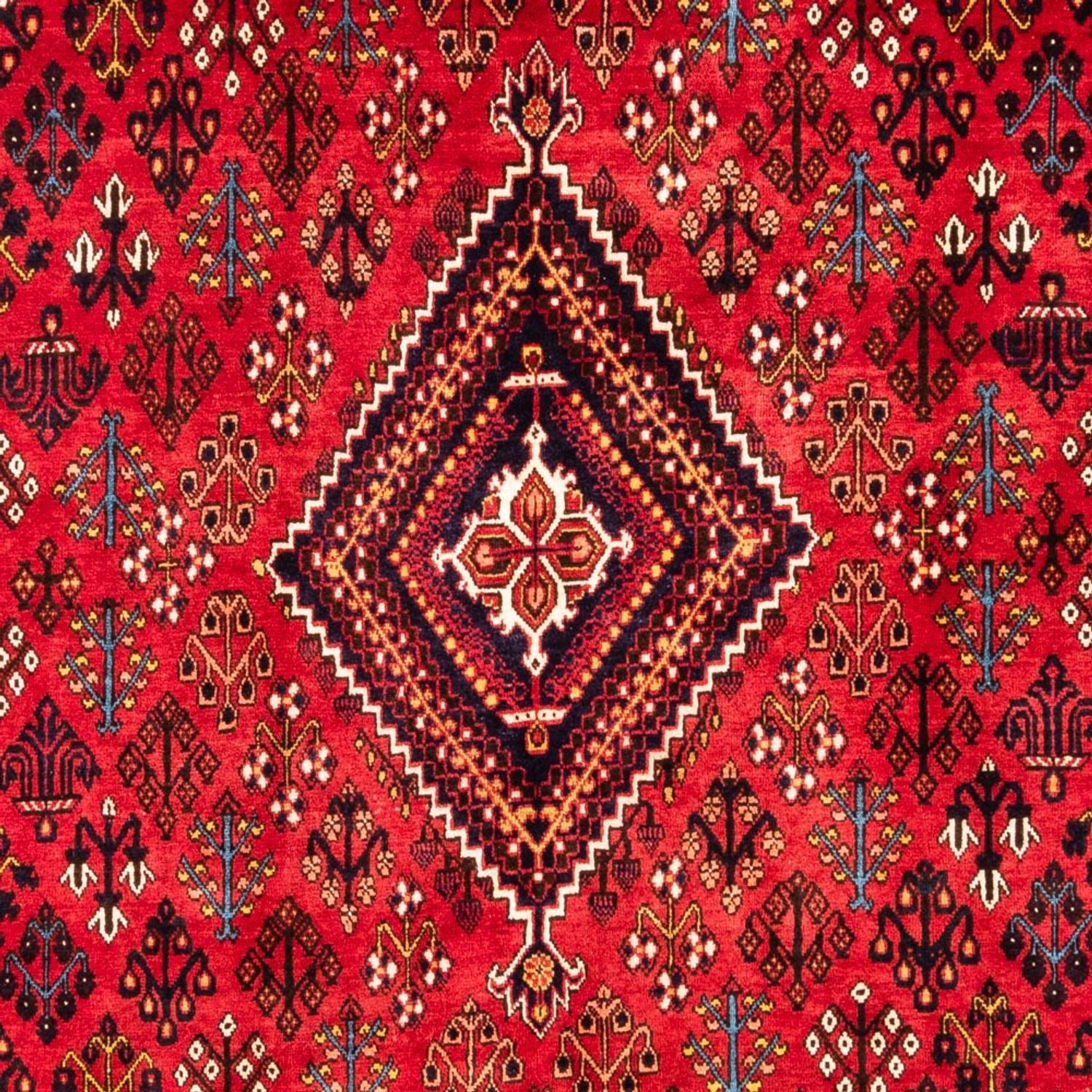 Tapis persan - Nomadic - 304 x 219 cm - rouge