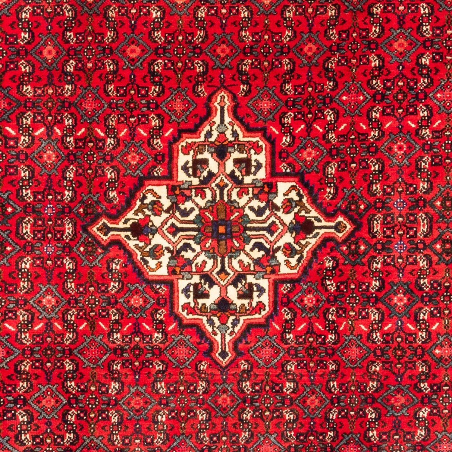 Tapis persan - Nomadic - 304 x 212 cm - rouge