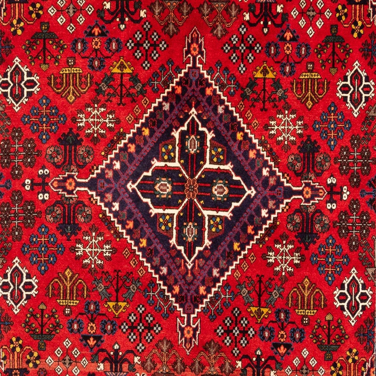 Tapis Gabbeh - Persan - 320 x 216 cm - multicolore