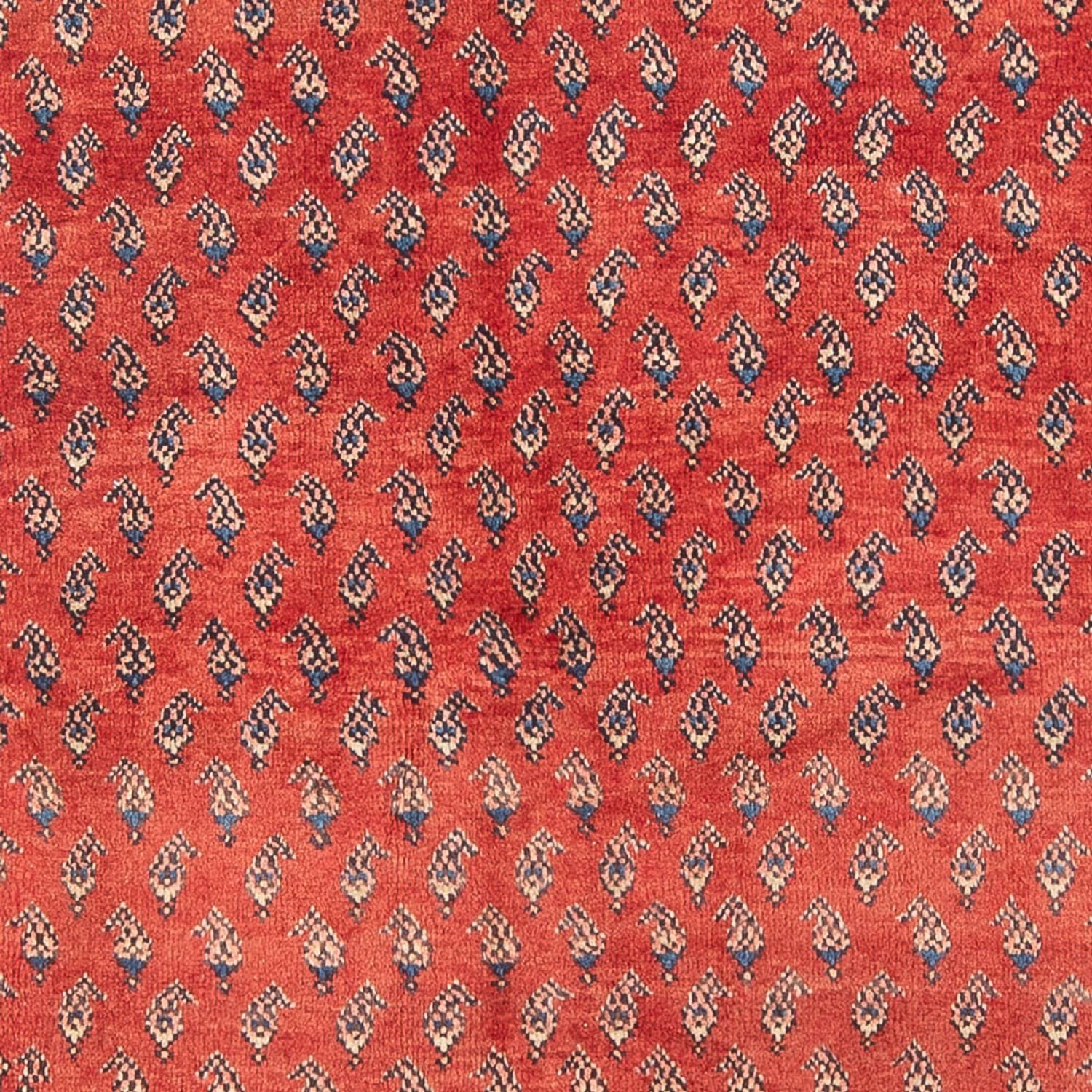 Tapis persan - Nomadic - Royal - 211 x 134 cm - rouge