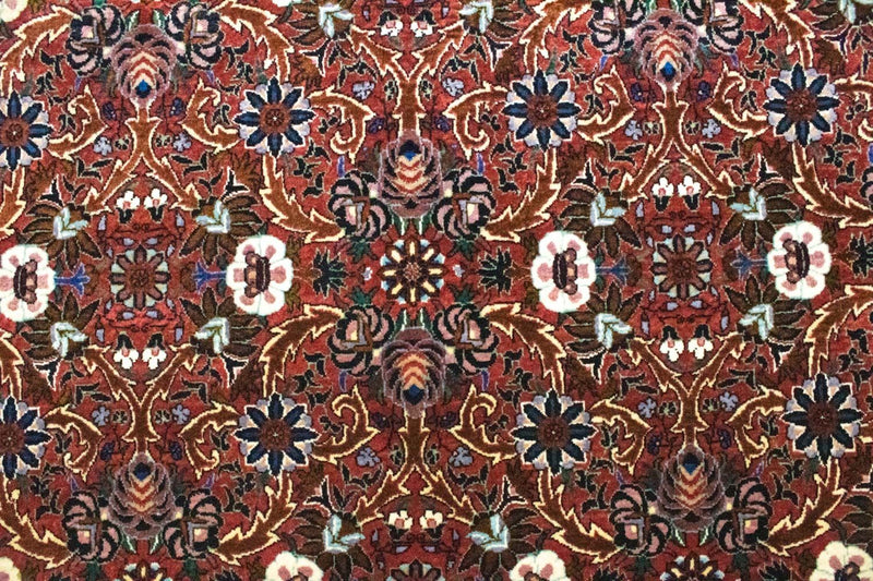 Perserteppich - Bidjar 298 x 207 cm
