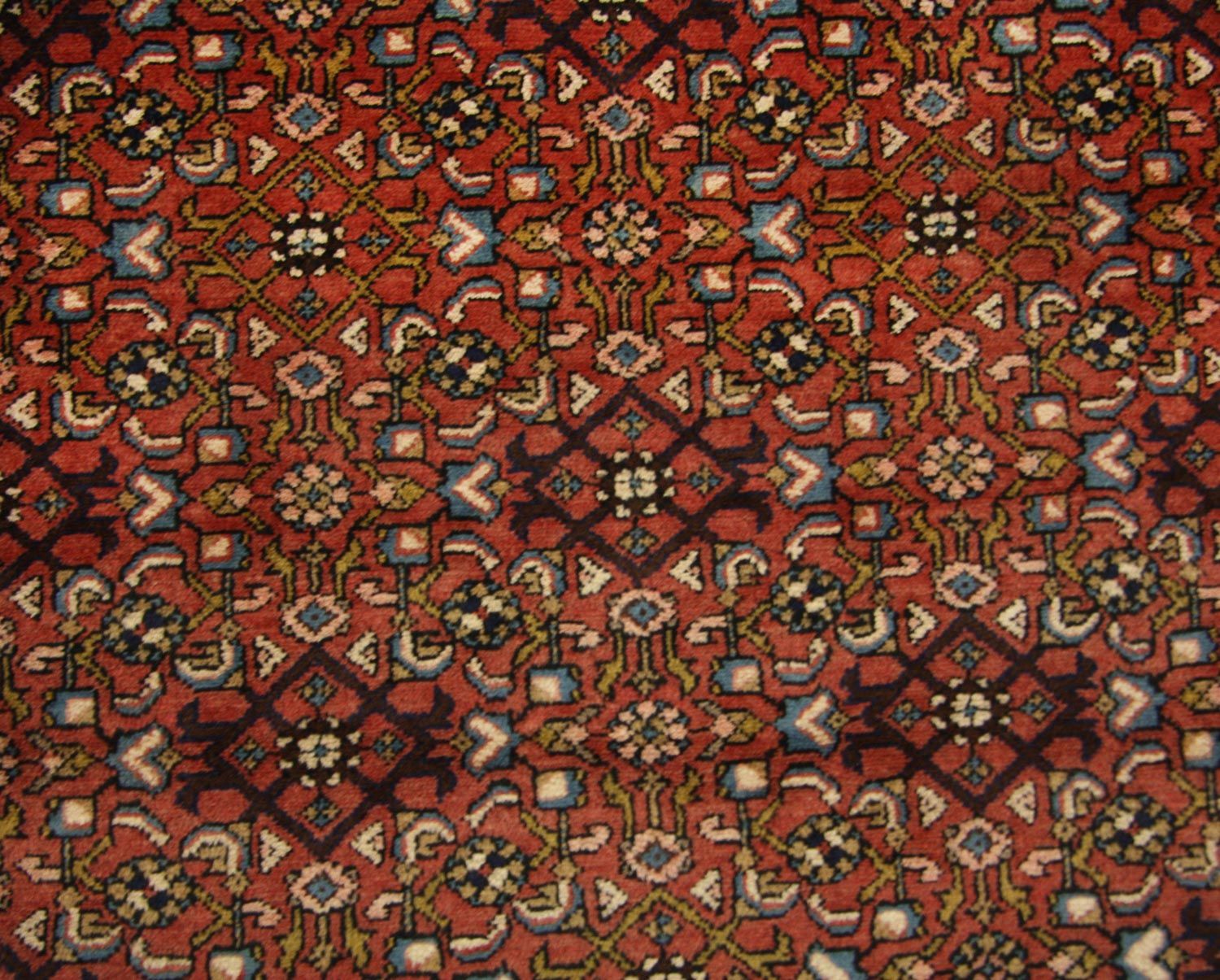 Tapis de couloir Tapis persan - Nomadic - 280 x 115 cm - marron