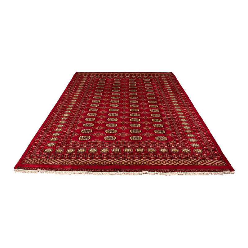 Tapis Pakistani - 307 x 208 cm - rouge foncé