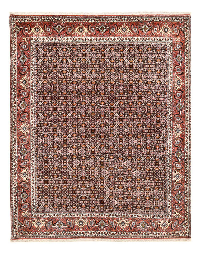 Perserteppich - Bidjar - 264 x 204 cm - rost