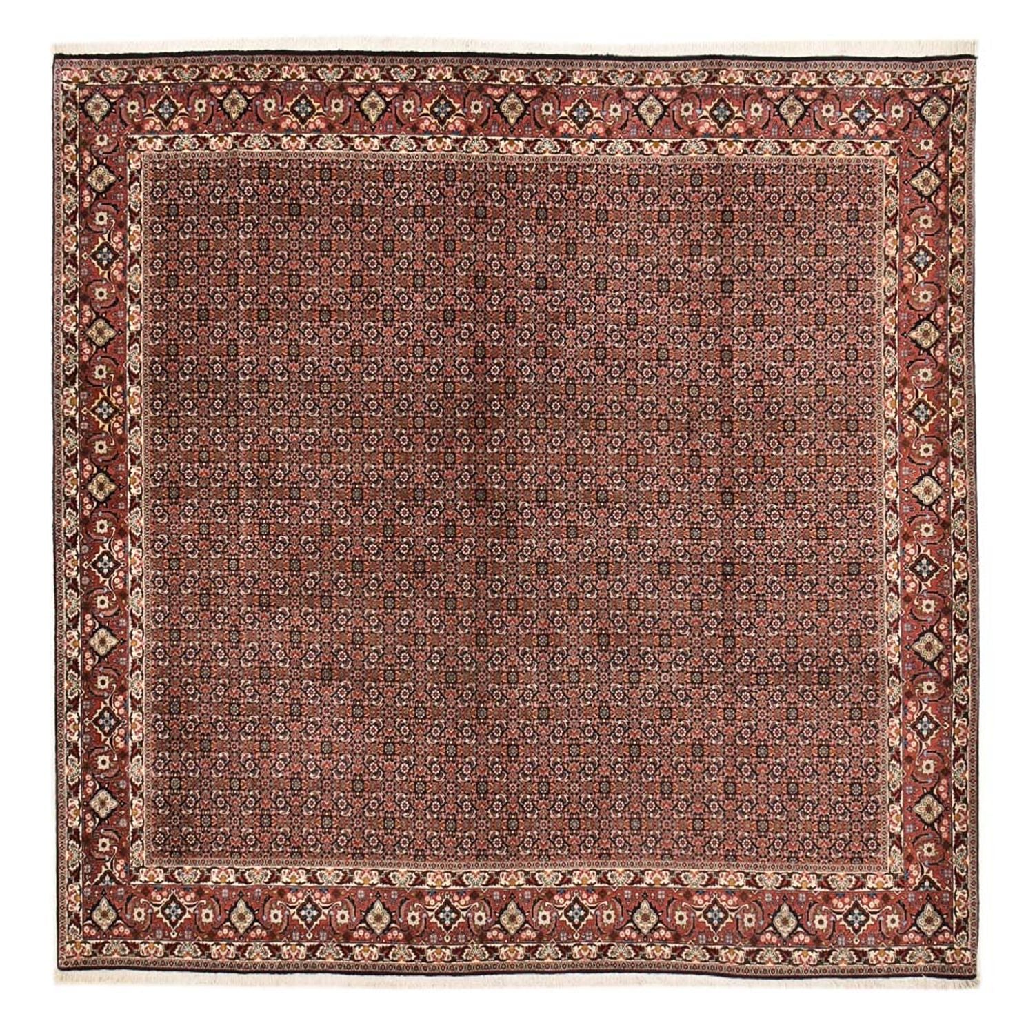 Perserteppich - Bidjar quadratisch  - 303 x 293 cm - rost