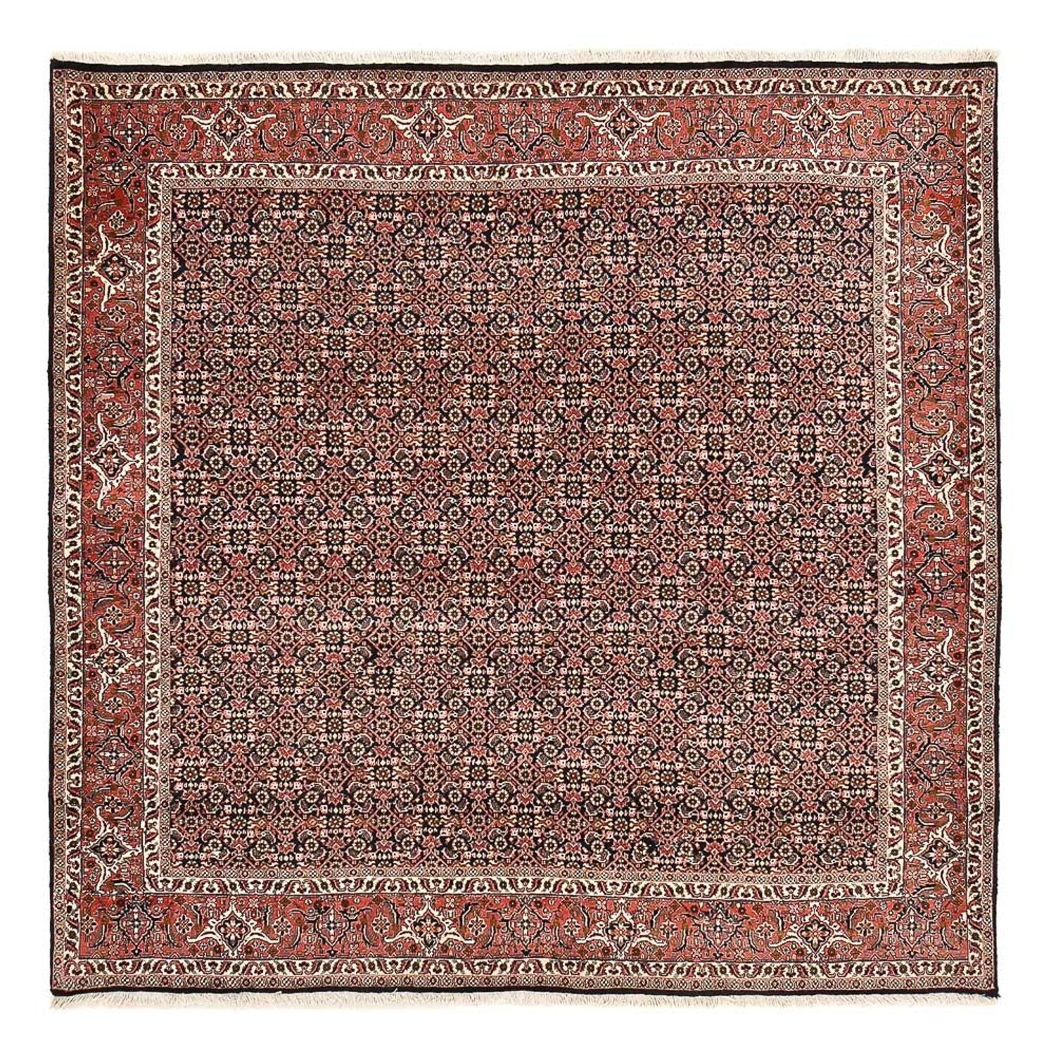 Perserteppich - Bidjar quadratisch  - 205 x 205 cm - rost