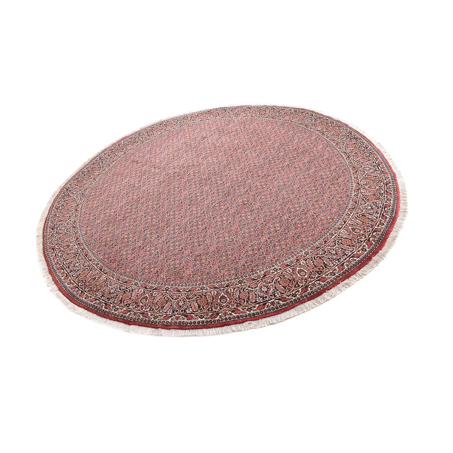 Tapis persan - Bidjar ronde  - 255 x 255 cm - rouille