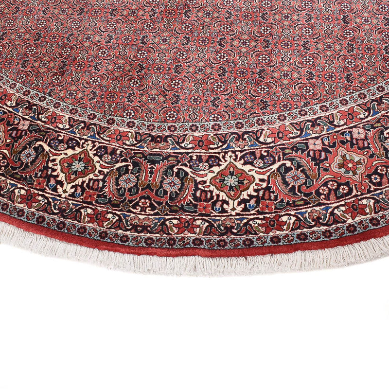 Tapis persan - Bidjar ronde  - 300 x 300 cm - rouille