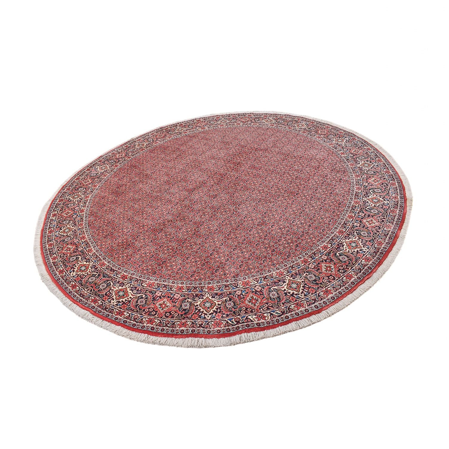 Tapis persan - Bidjar ronde  - 300 x 300 cm - rouille