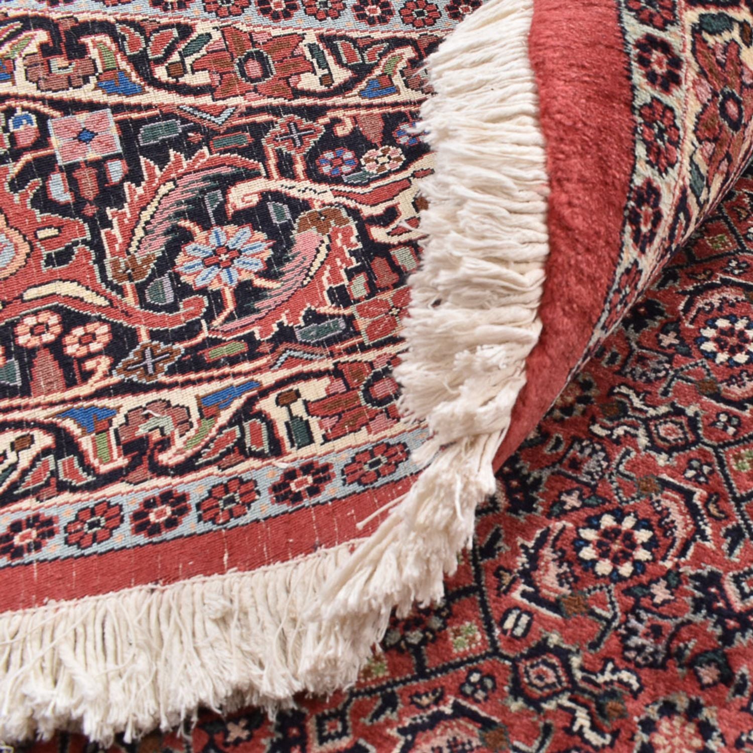 Tapis persan - Bidjar ronde  - 300 x 300 cm - rouille