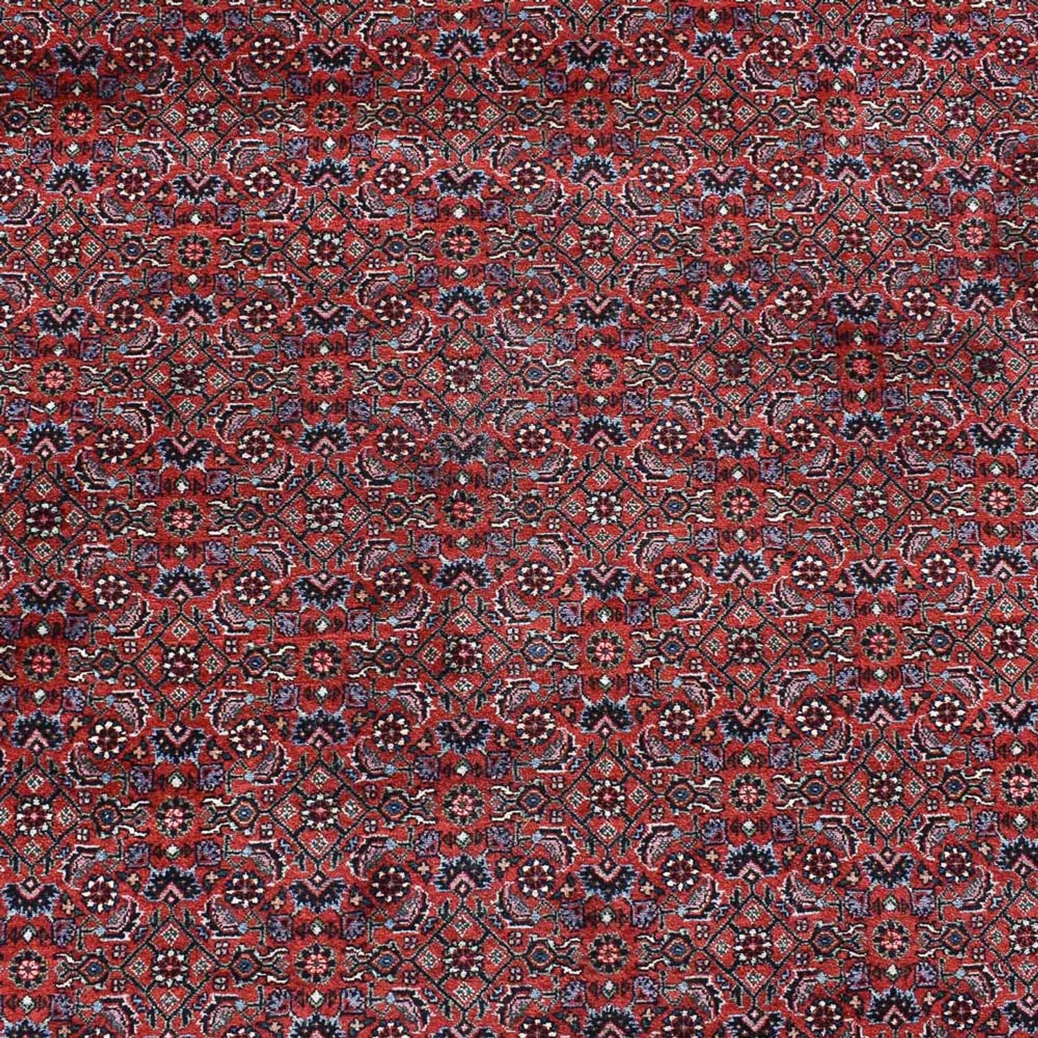 Tapis persan - Bidjar - 490 x 350 cm - rouge bordeaux