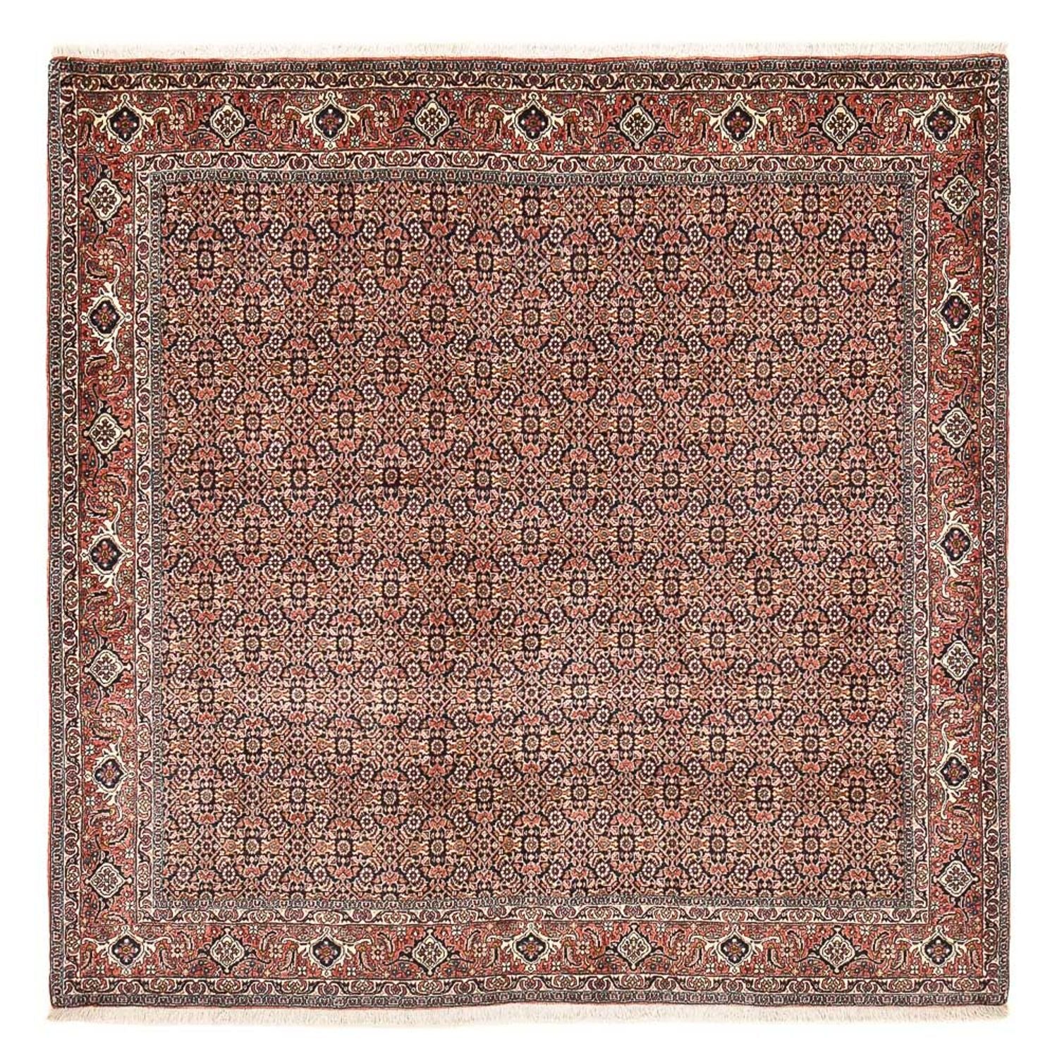Perserteppich - Bidjar quadratisch  - 204 x 203 cm - rost