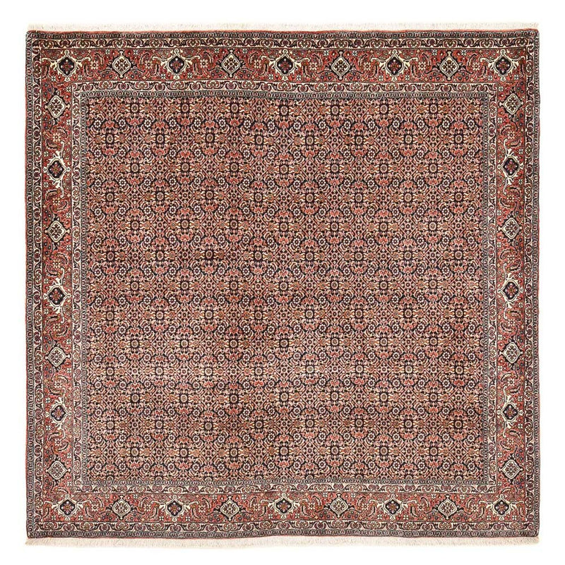 Perserteppich - Bidjar quadratisch  - 204 x 203 cm - rost
