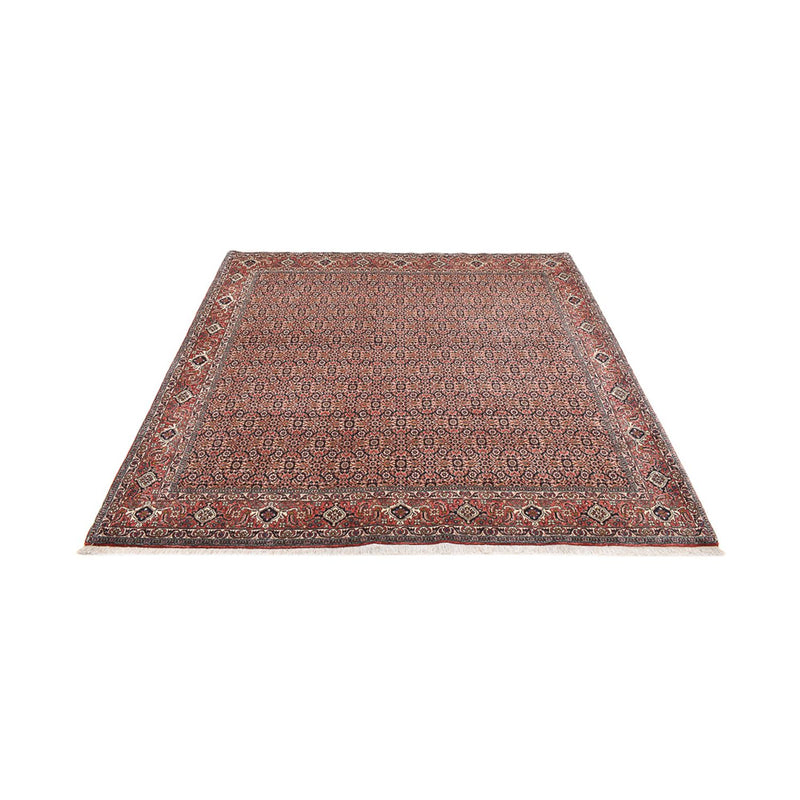 Perserteppich - Bidjar quadratisch  - 204 x 203 cm - rost