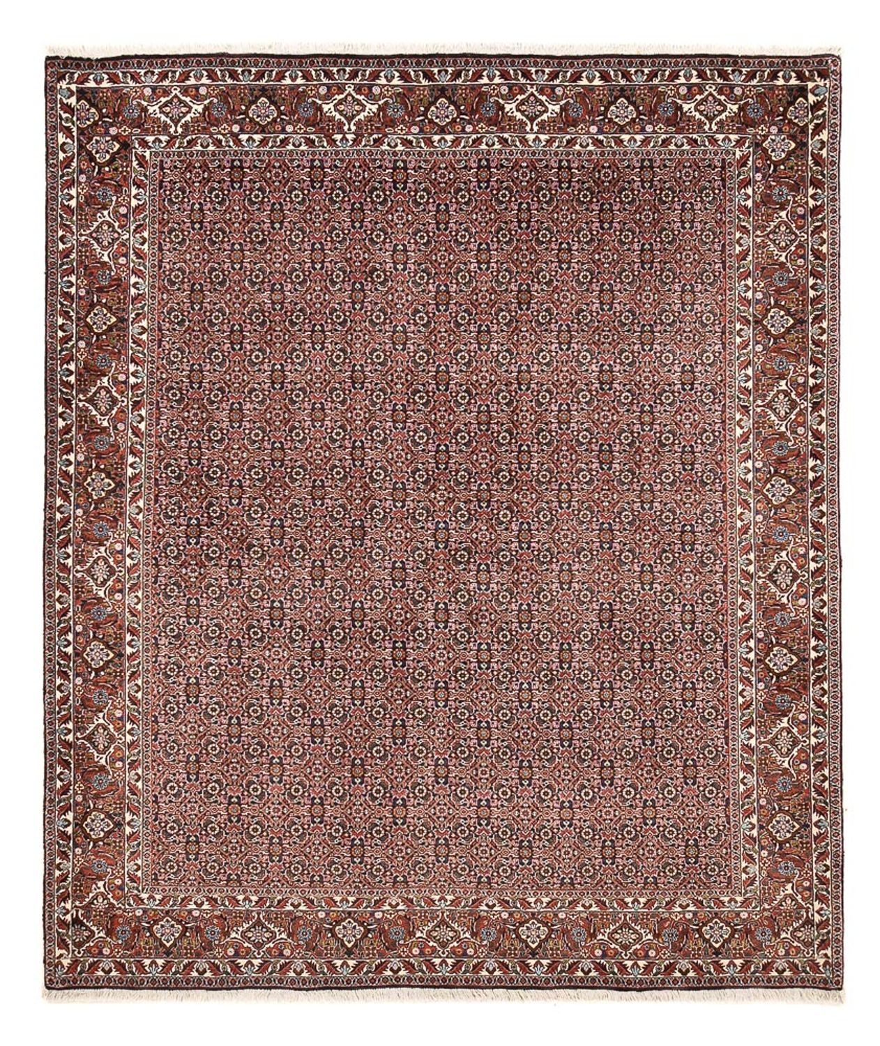 Perserteppich - Bidjar - 239 x 202 cm - rost