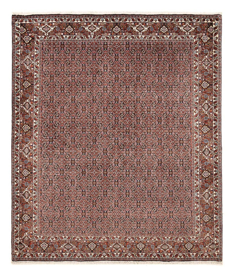 Perserteppich - Bidjar - 239 x 202 cm - rost
