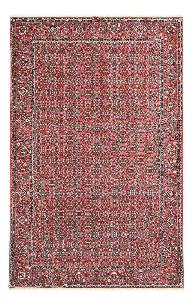 Perserteppich - Bidjar - 347 x 221 cm - rost