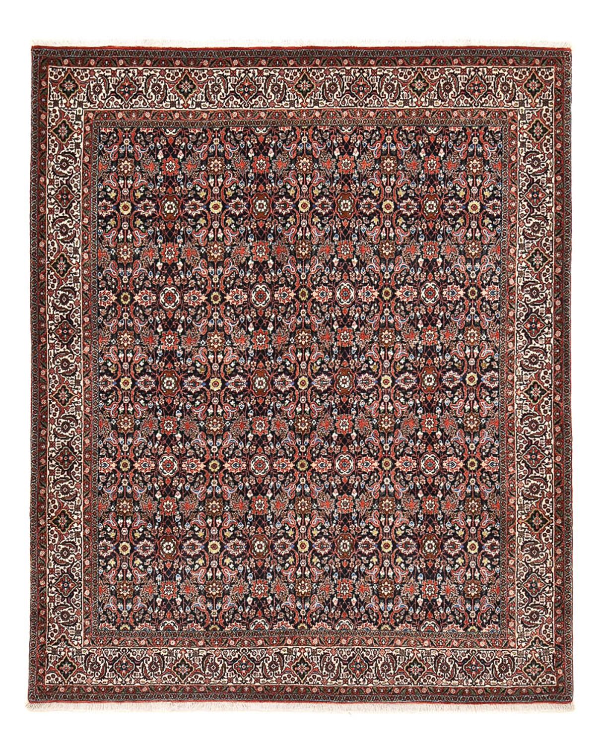 Tapis persan - Bidjar - 250 x 203 cm - rouille