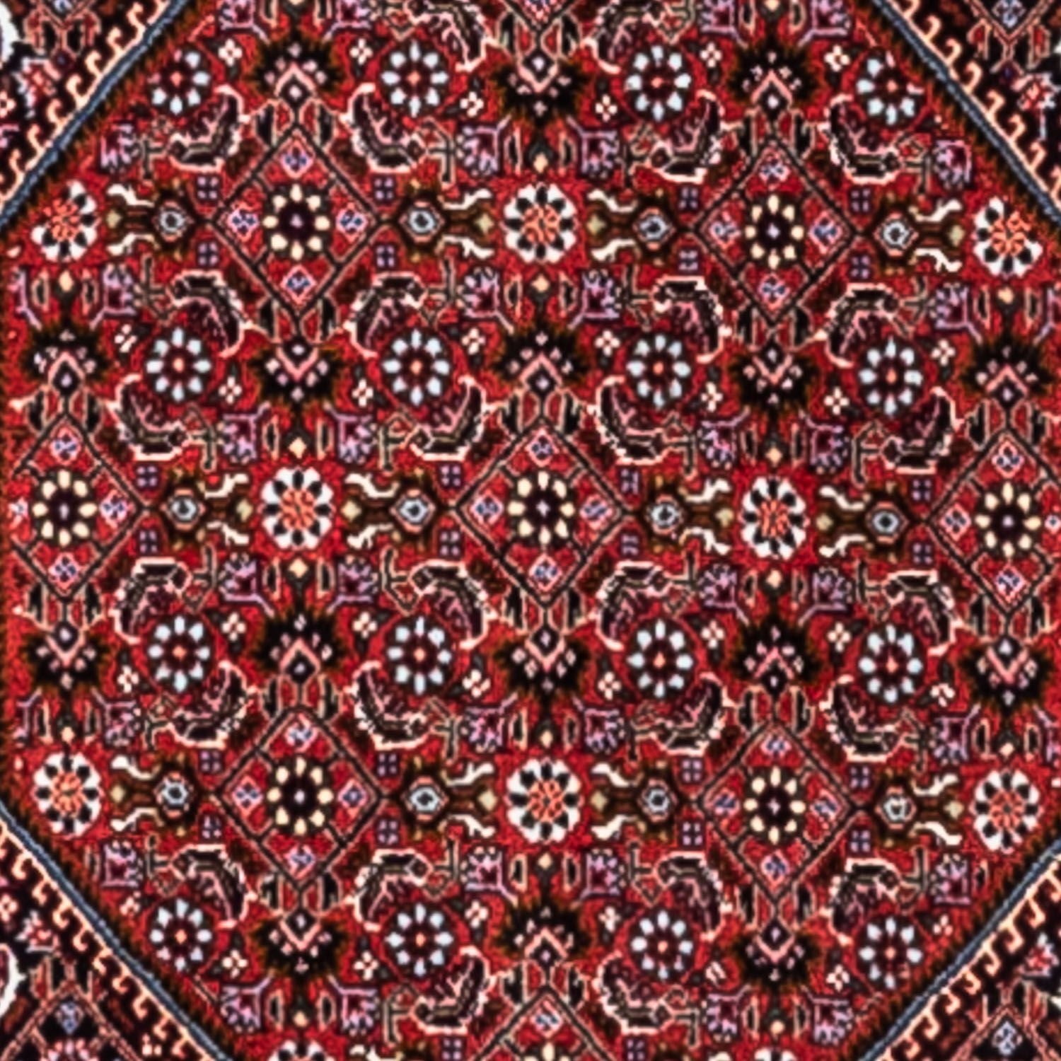 Tapis persan - Bidjar - 318 x 200 cm - rouge