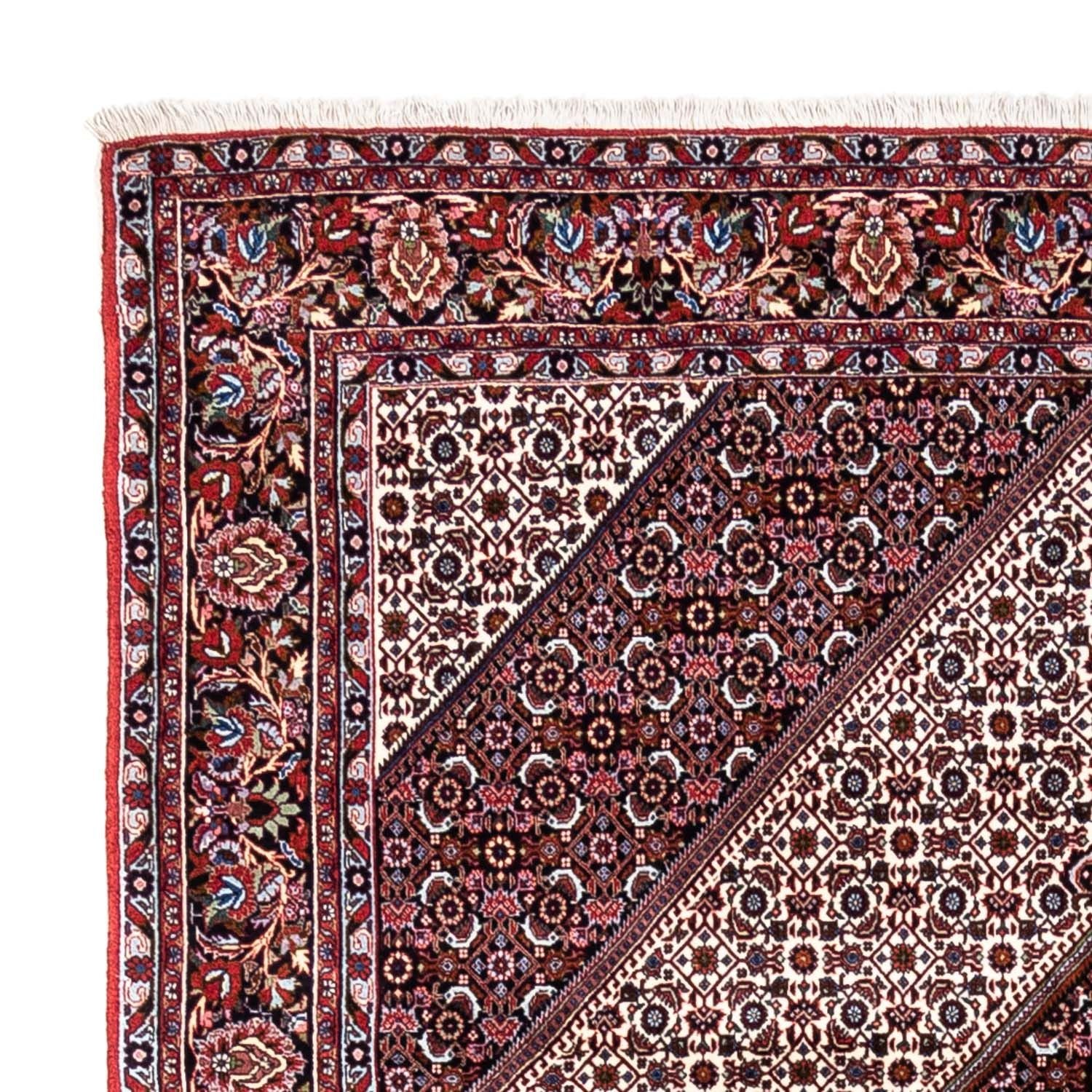 Tapis persan - Bidjar - 318 x 200 cm - rouge