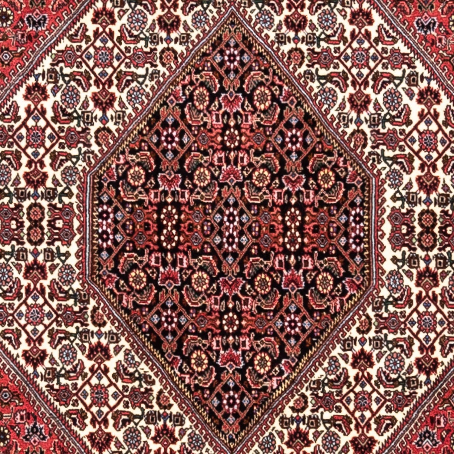 Tapis persan - Bidjar - 300 x 200 cm - rouge