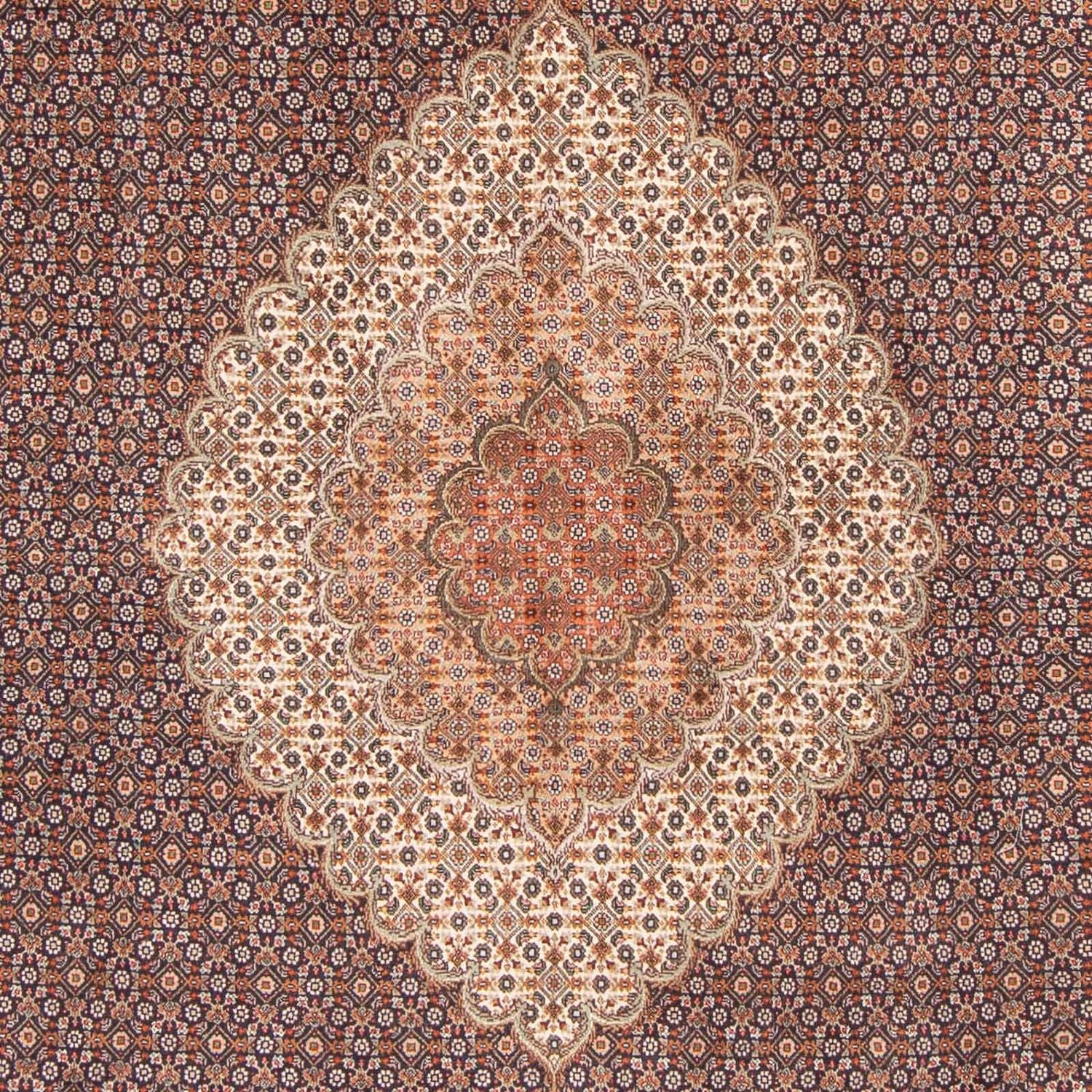 Tapis persan - Tabriz - 304 x 202 cm - marron clair