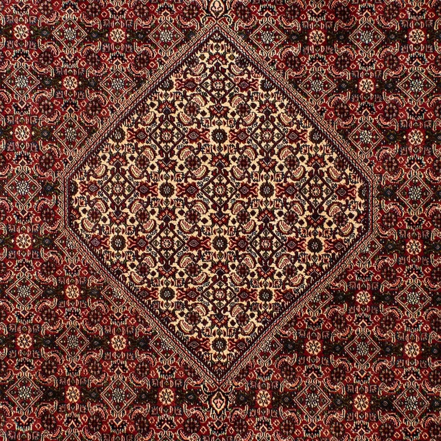 Tapis persan - Bidjar - 309 x 197 cm - marron