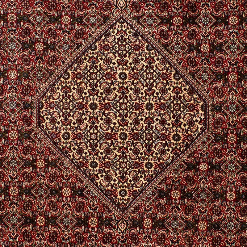 Tapis persan - Bidjar - 309 x 197 cm - marron